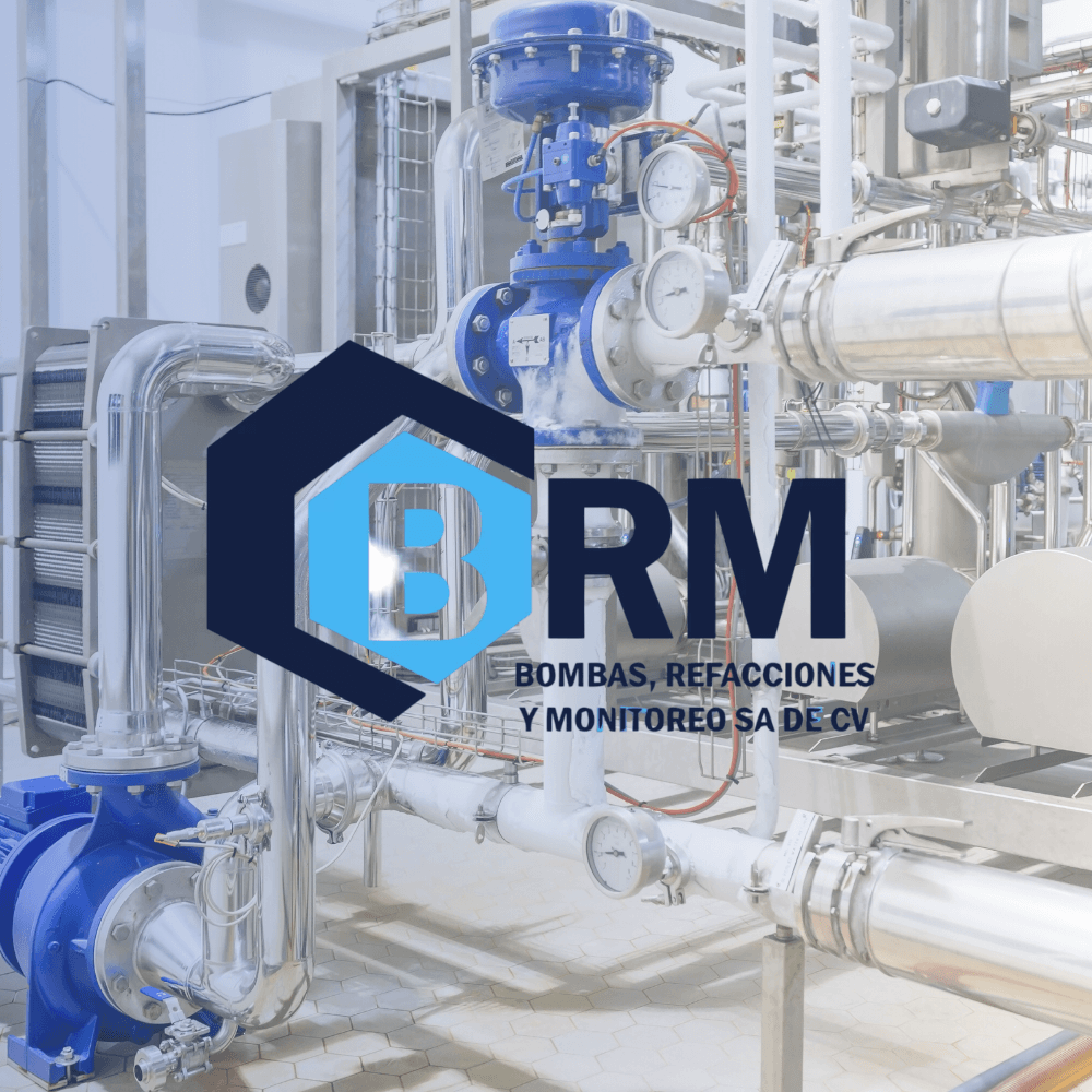 BRM - Agencia de Marketing Digital en Monterrey BRM Agencia de Marketing Digital en Monterrey